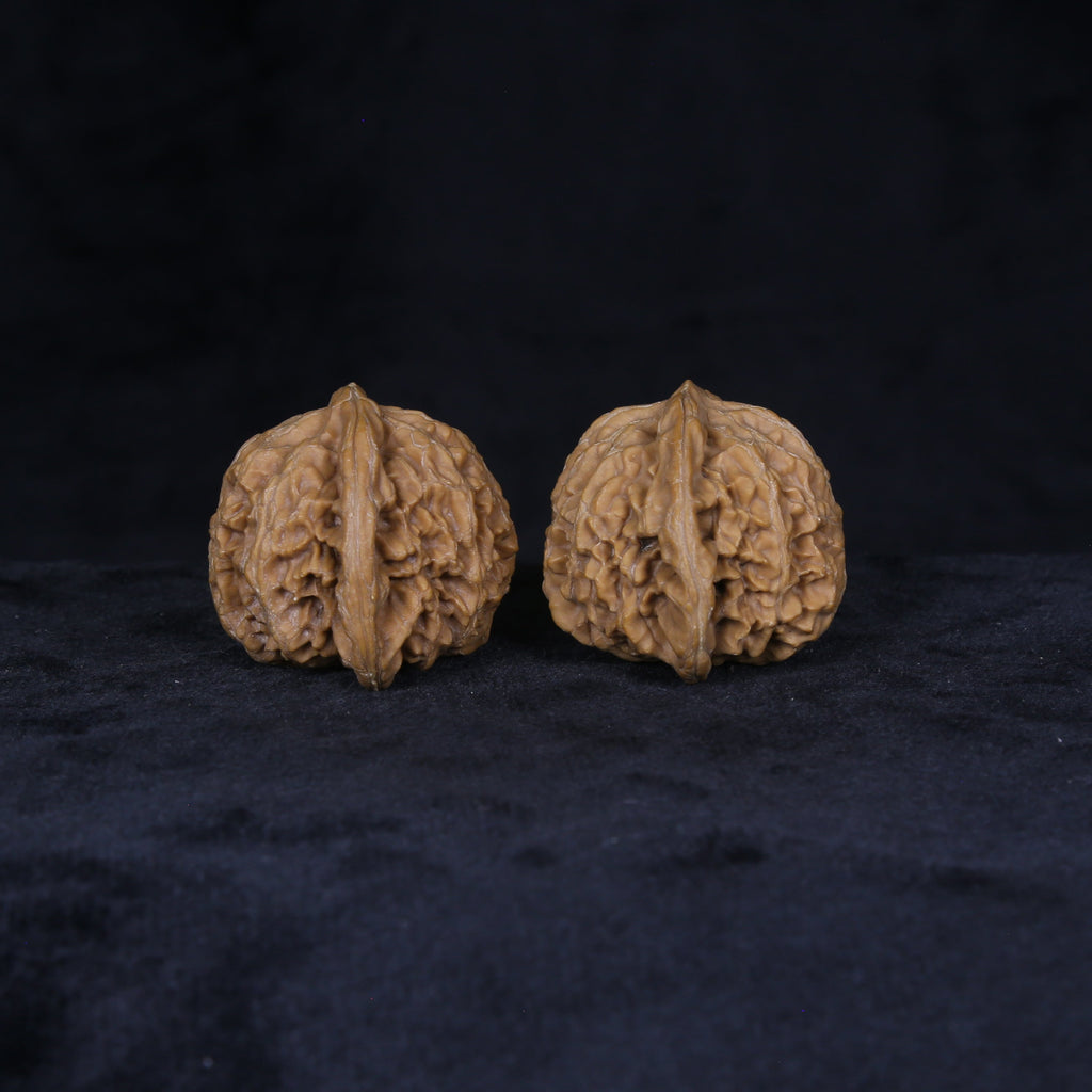 The Sovereign Lantern | “Gong-Deng” Walnut Set 4156
