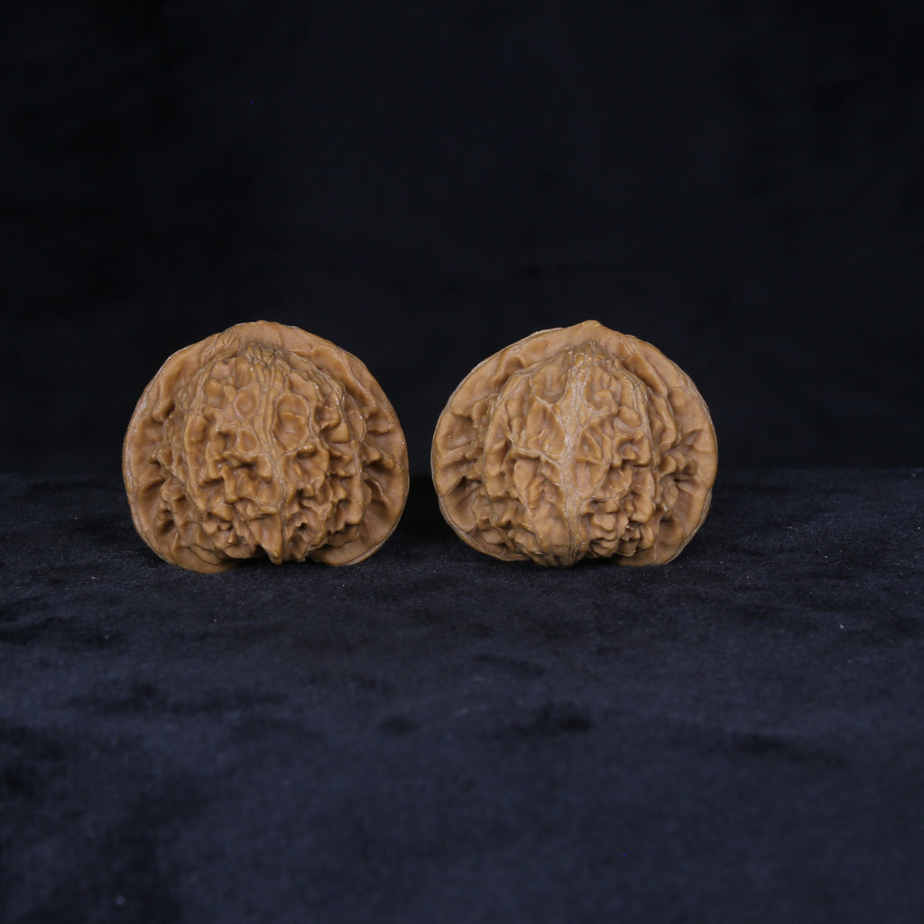 The Sovereign Lantern | “Gong-Deng” Walnut Set 4156