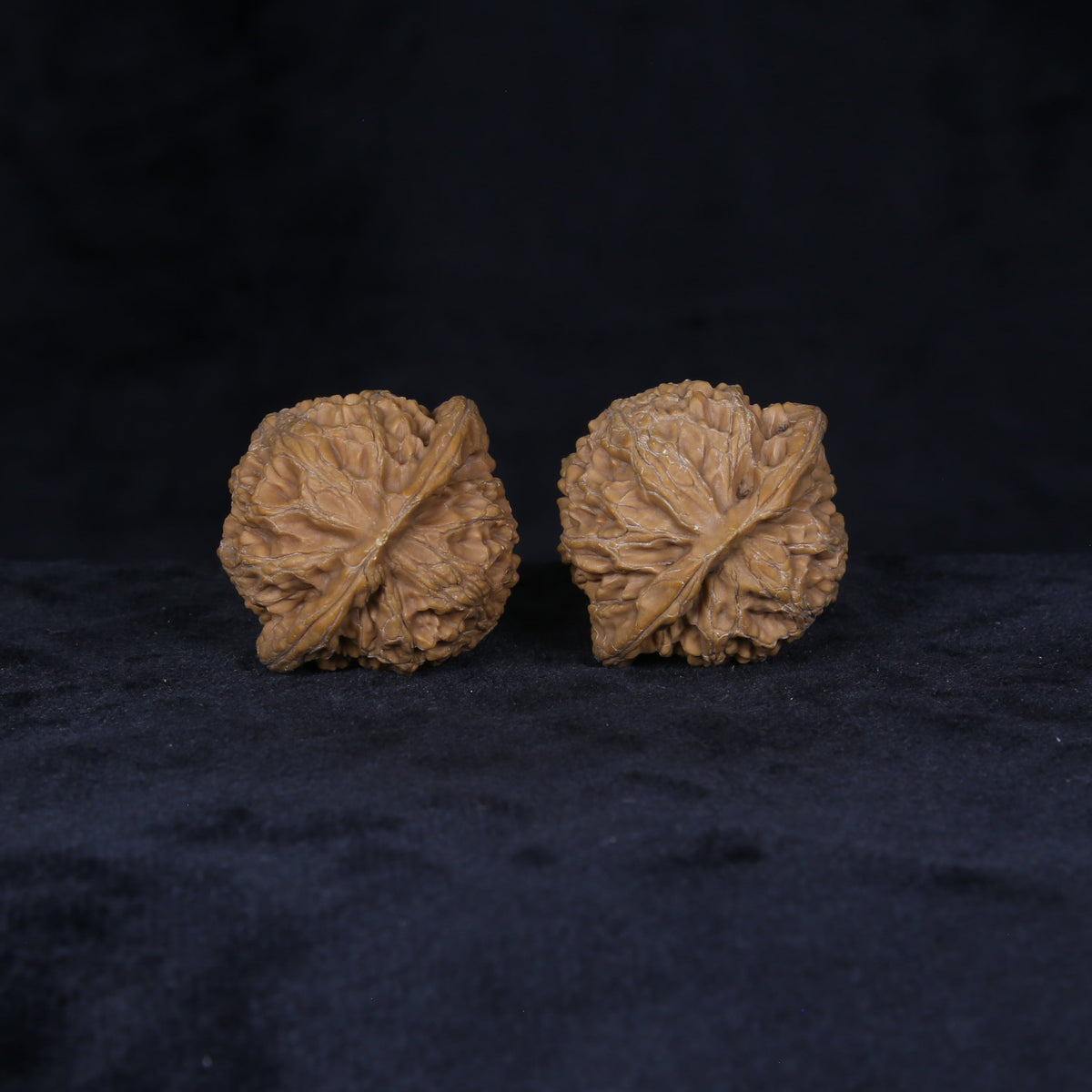 The Sovereign Lantern | “Gong-Deng” Walnut Set 4156