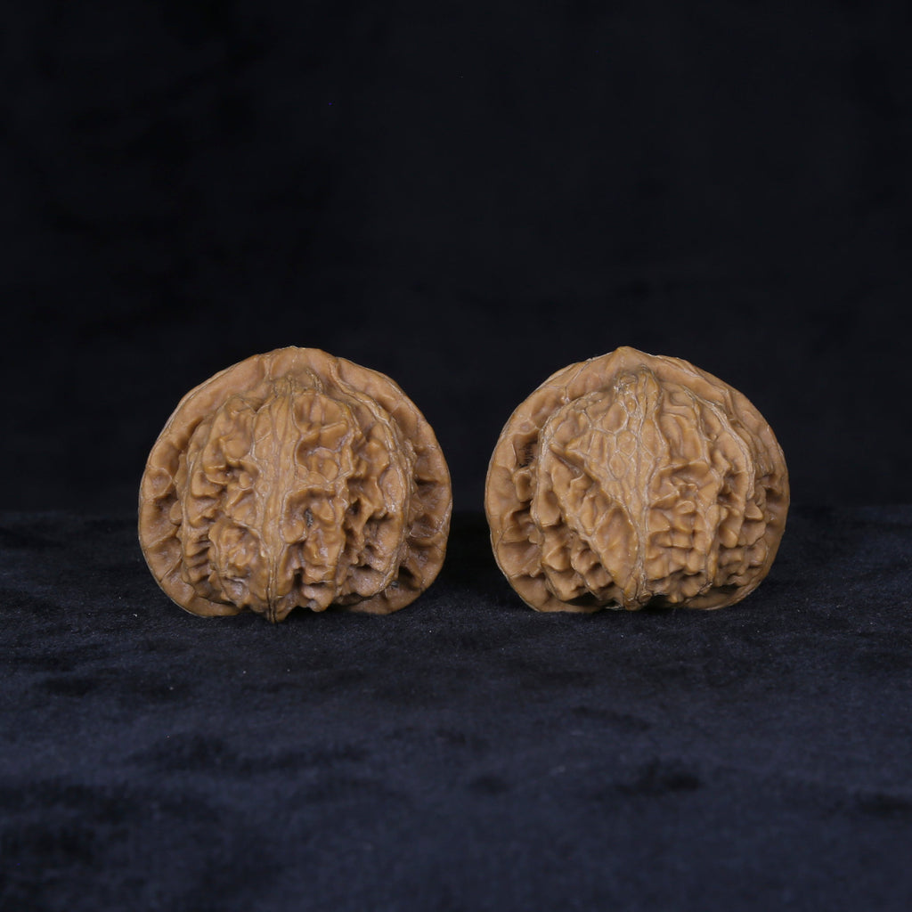 The Sovereign Lantern | "Gong-Deng" Walnut Set 4156 Matched pair of Gong-Deng Wenwan walnuts with natural texture