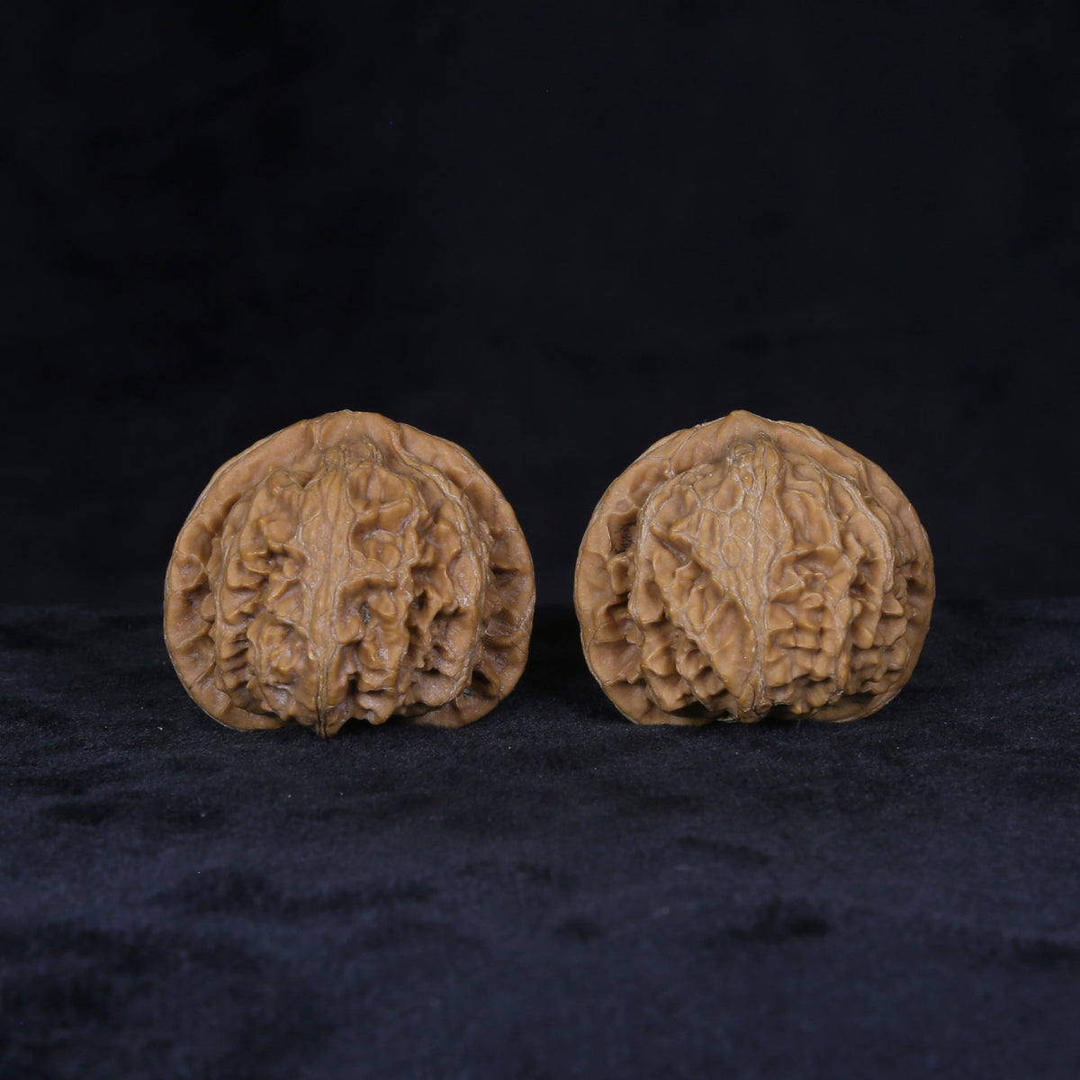 The Sovereign Lantern | “Gong-Deng” Walnut Set 4156