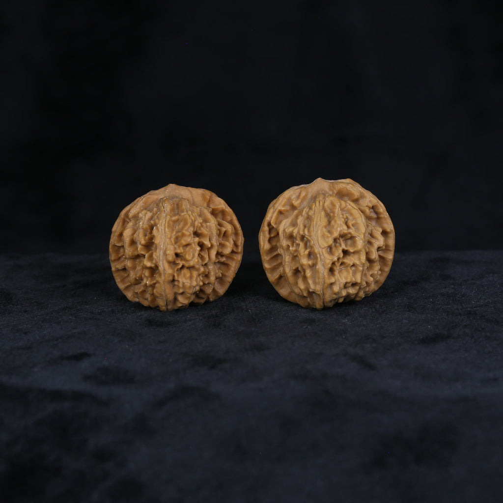 The Amber-Crest Spheres | "Xing-Tai-Yuan-Bao" Walnut Set 4822 Matched pair of Xing-Tai-Yuan-Bao Wenwan walnuts with amber tone and rounded crest