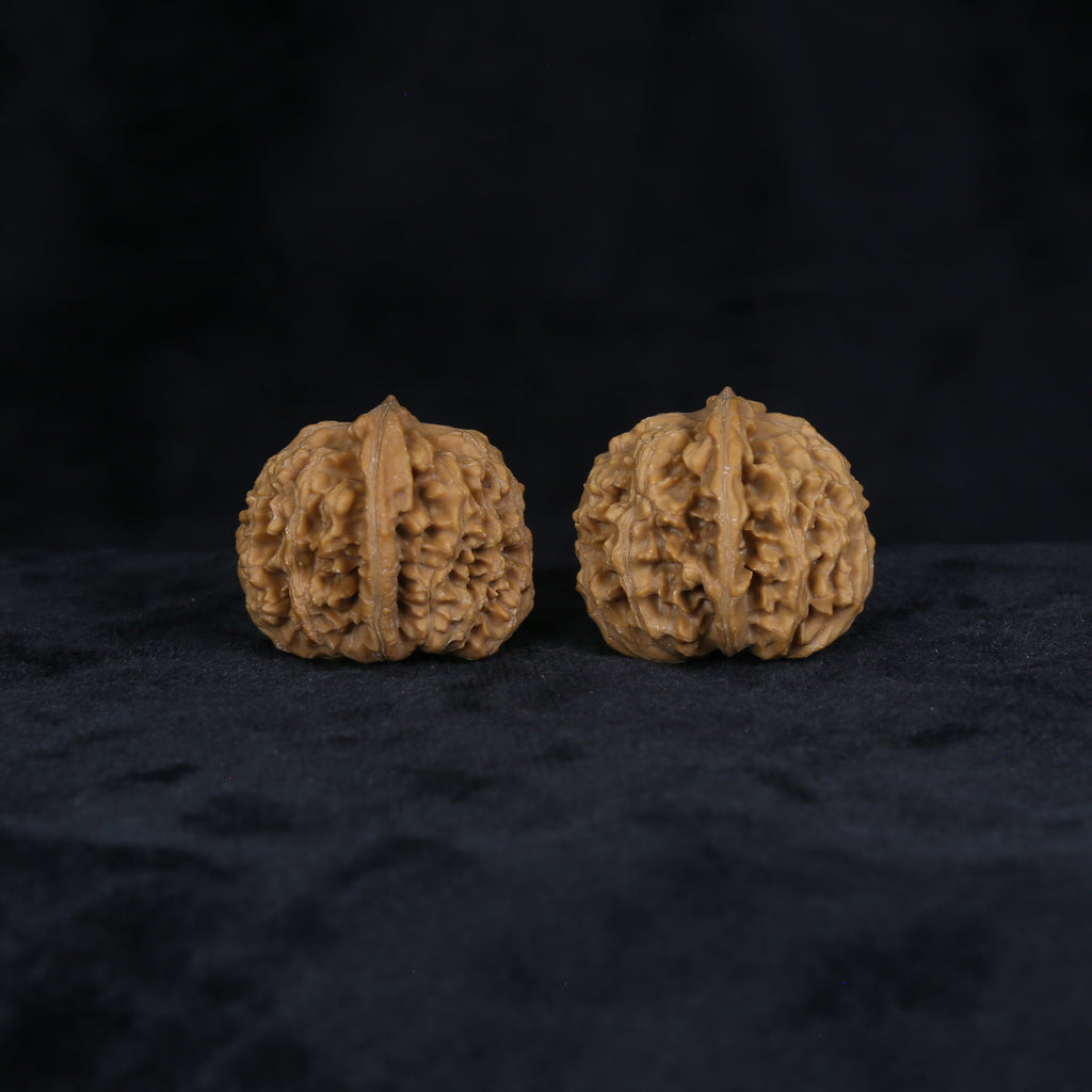 The Amber-Crest Spheres | “Xing-Tai-Yuan-Bao” Walnut Set 4822