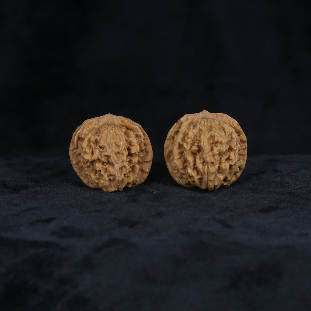 The Amber-Crest Spheres | “Xing-Tai-Yuan-Bao” Walnut Set 4822