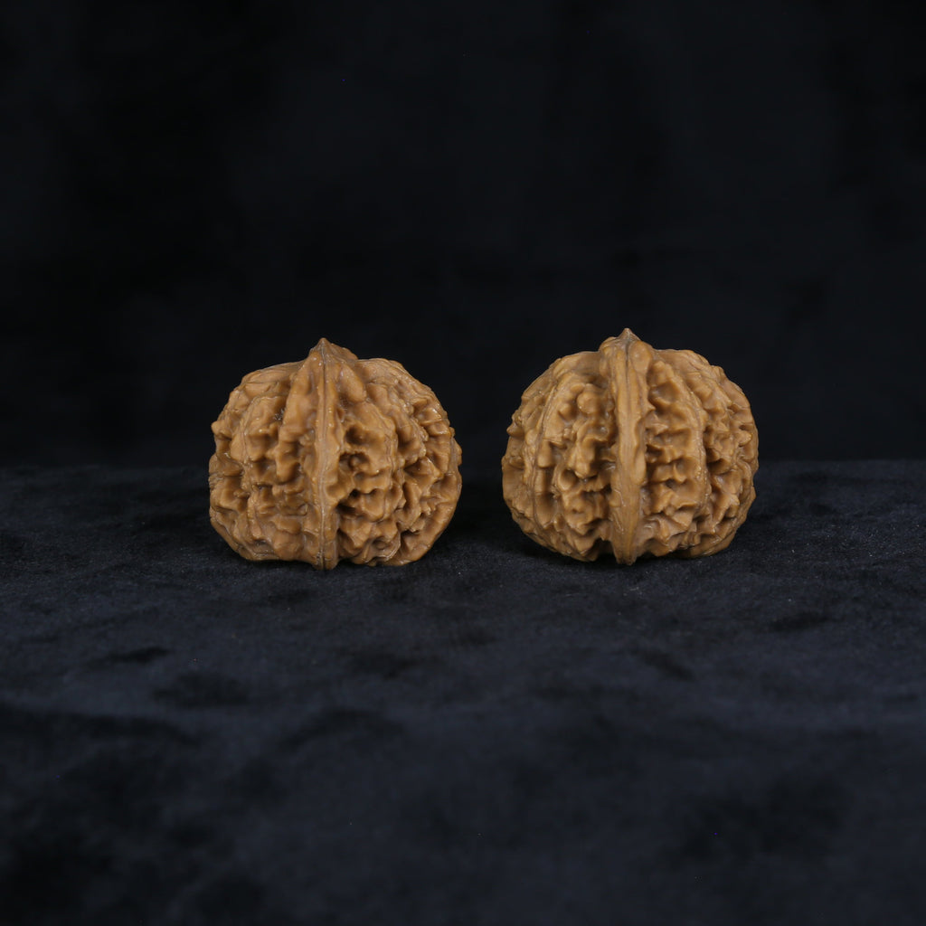 The Amber-Crest Spheres | “Xing-Tai-Yuan-Bao” Walnut Set 4822