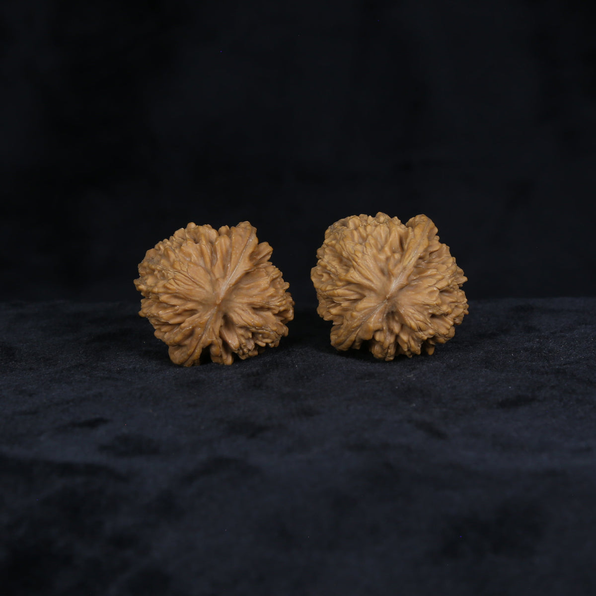 The Amber-Crest Spheres | “Xing-Tai-Yuan-Bao” Walnut Set 4822