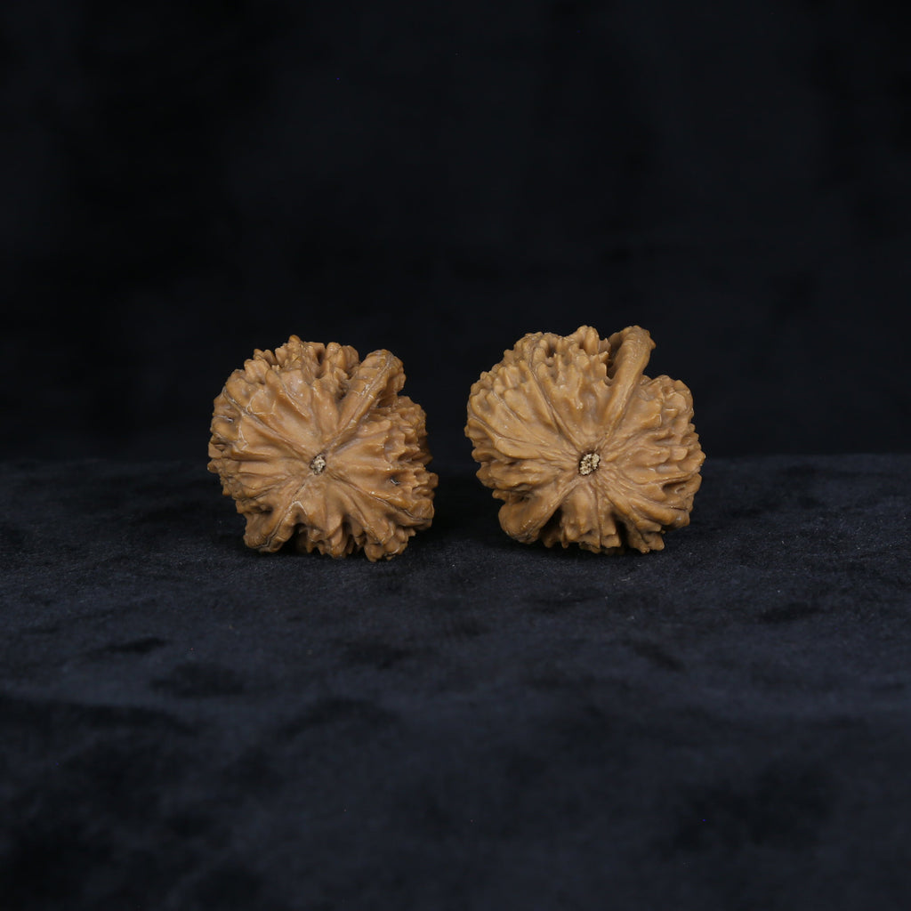 The Amber-Crest Spheres | “Xing-Tai-Yuan-Bao” Walnut Set 4822