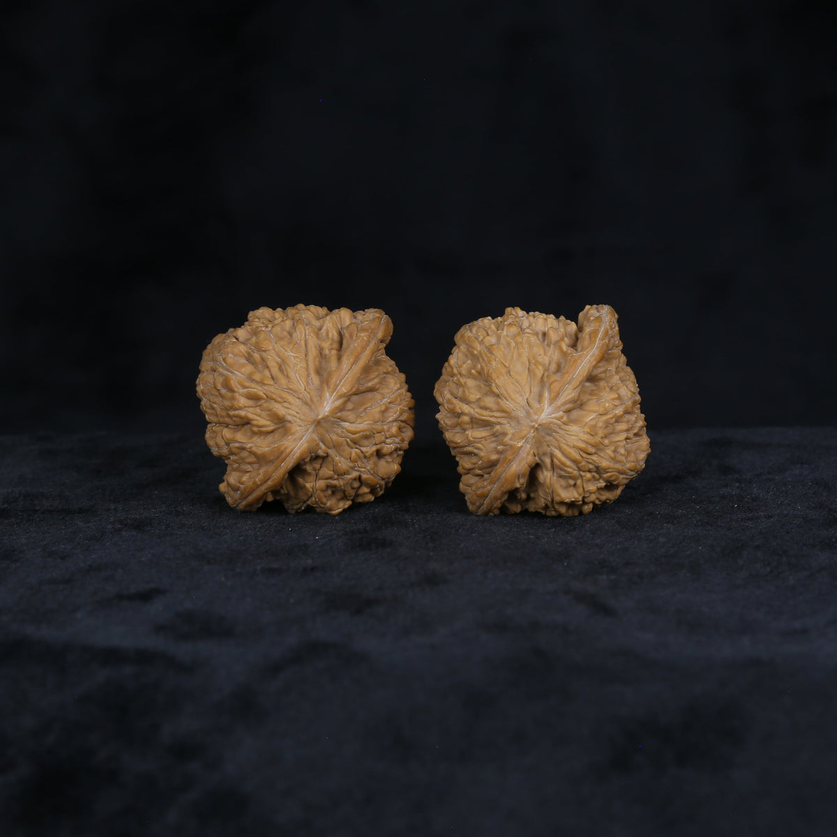 The Muted Zenith Spheres | Mo-Pan Walnut Set 4906
