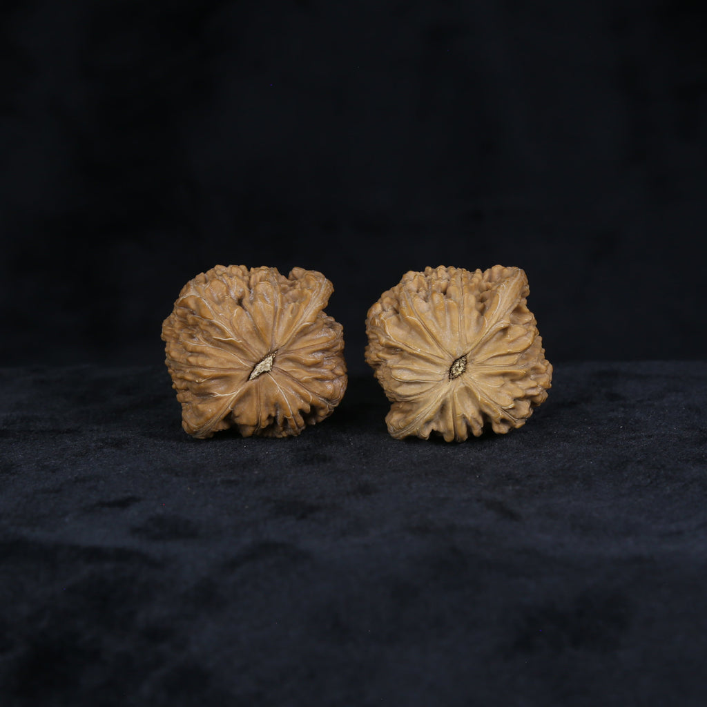 The Muted Zenith Spheres | Mo-Pan Walnut Set 4906
