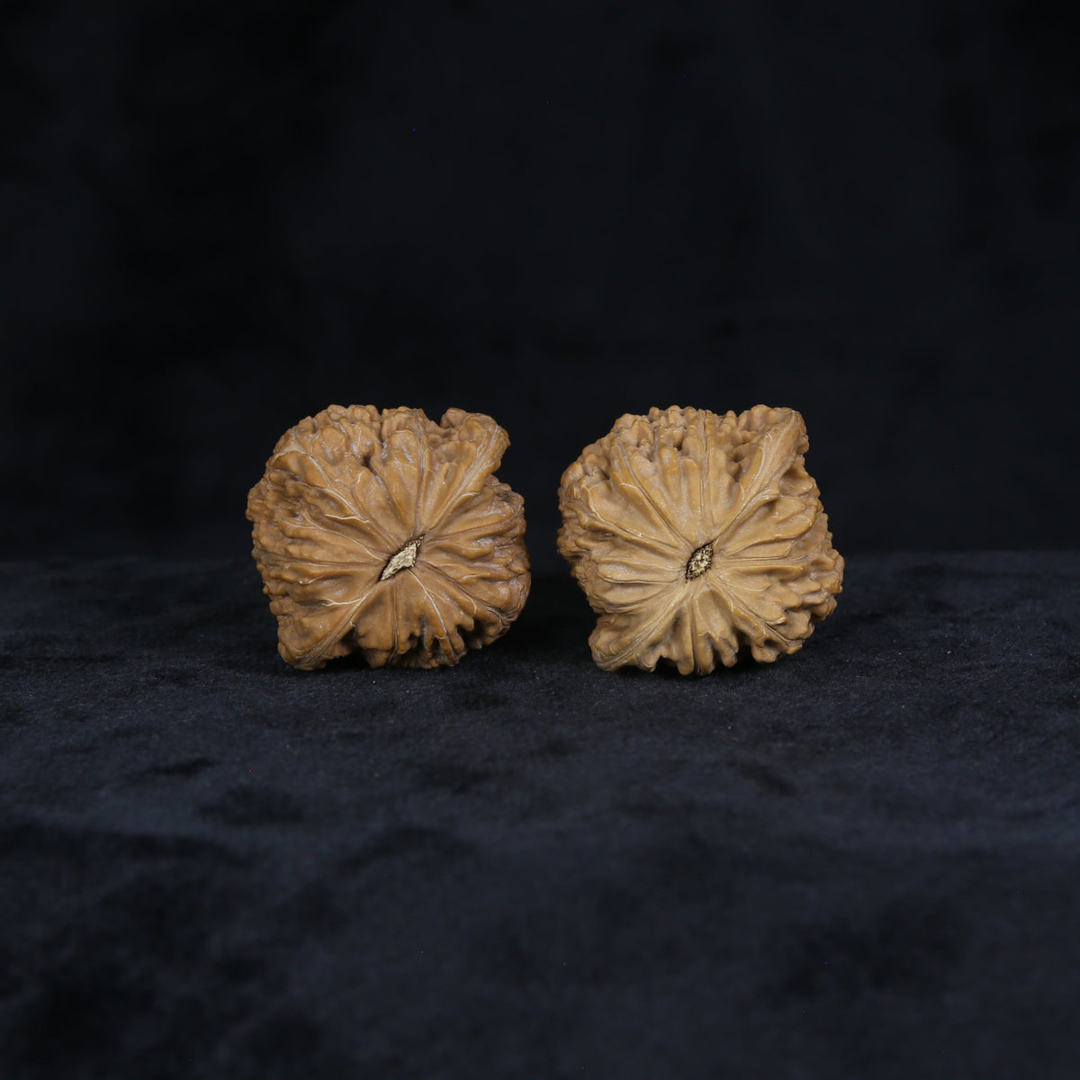 The Muted Zenith Spheres | Mo-Pan Walnut Set 4906
