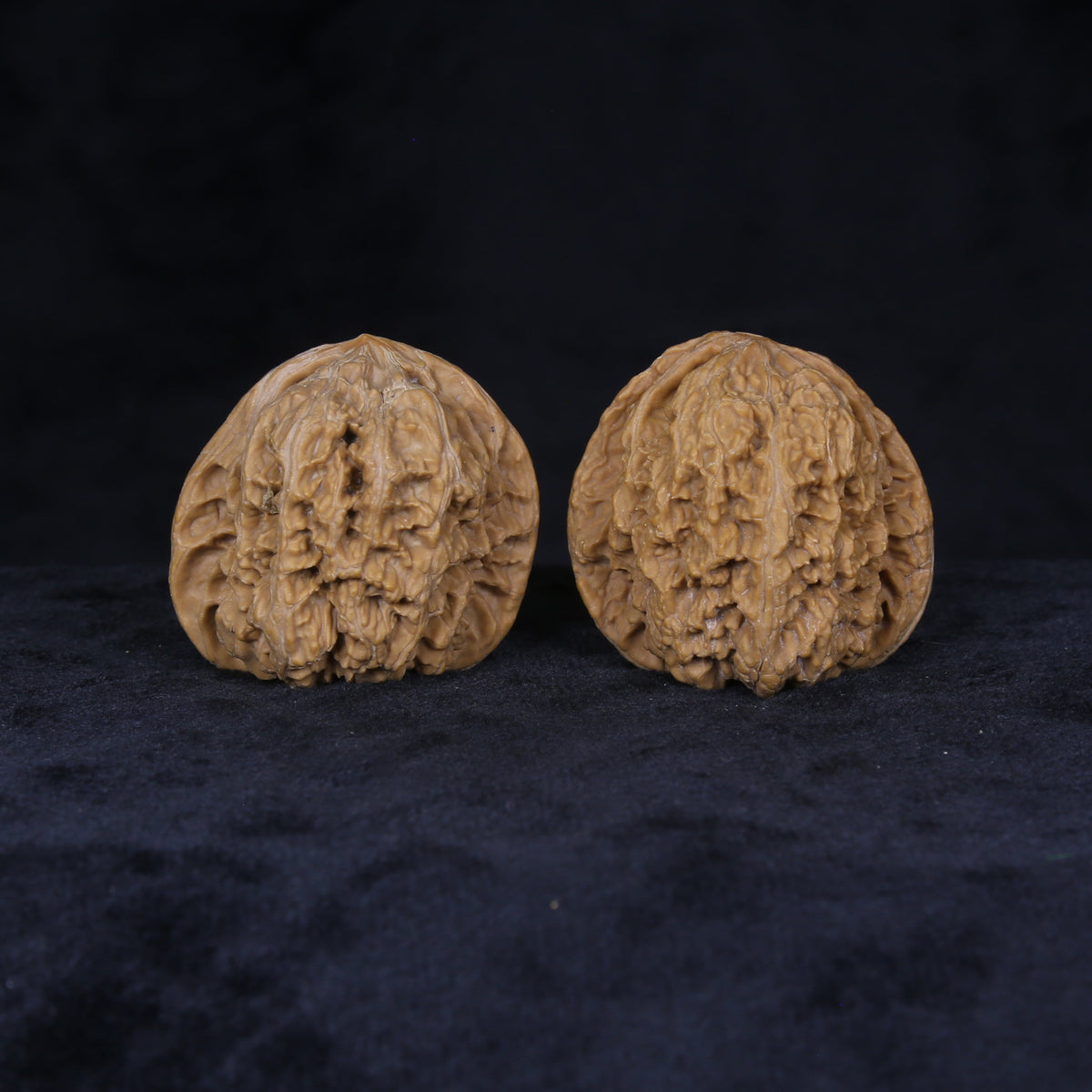 Detailed side view of The General's Crest Wenwan walnuts with pronounced natural channels and textured surfaces.

