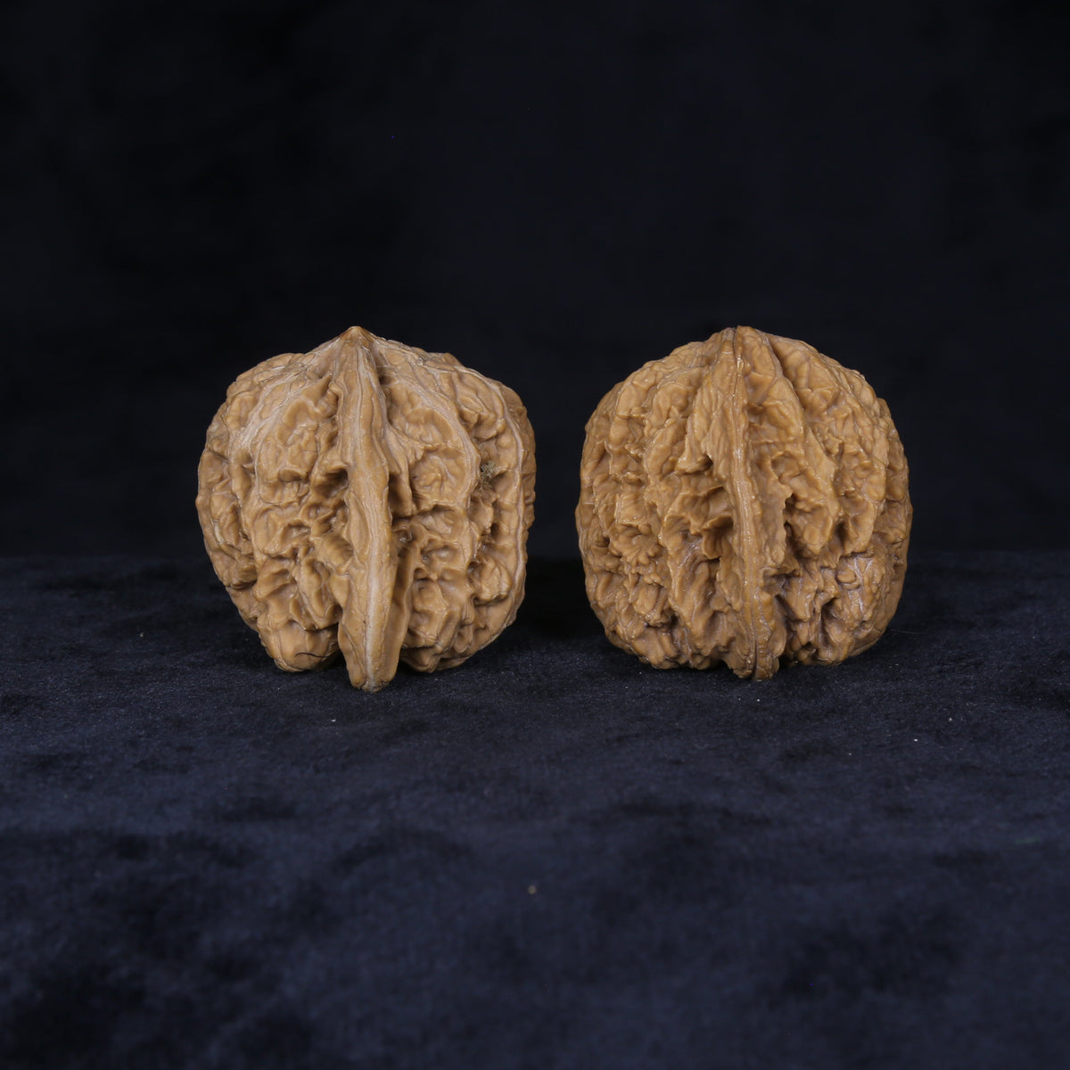 Side view of The General's Crest Wenwan walnuts highlighting their tall profiles and deeply carved ridges.
