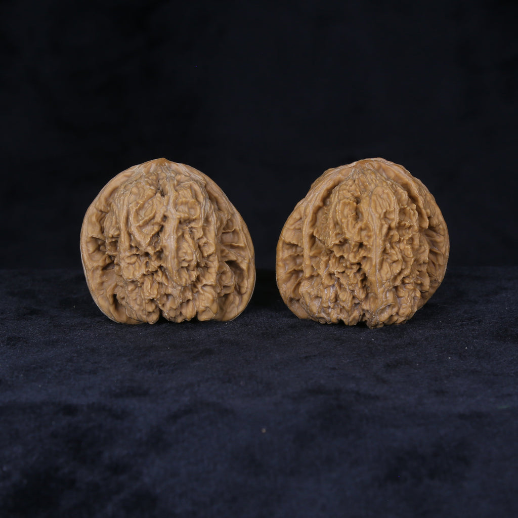 Angled front view of The General's Crest Wenwan walnuts showing their warm color and intricate vertical texture.
