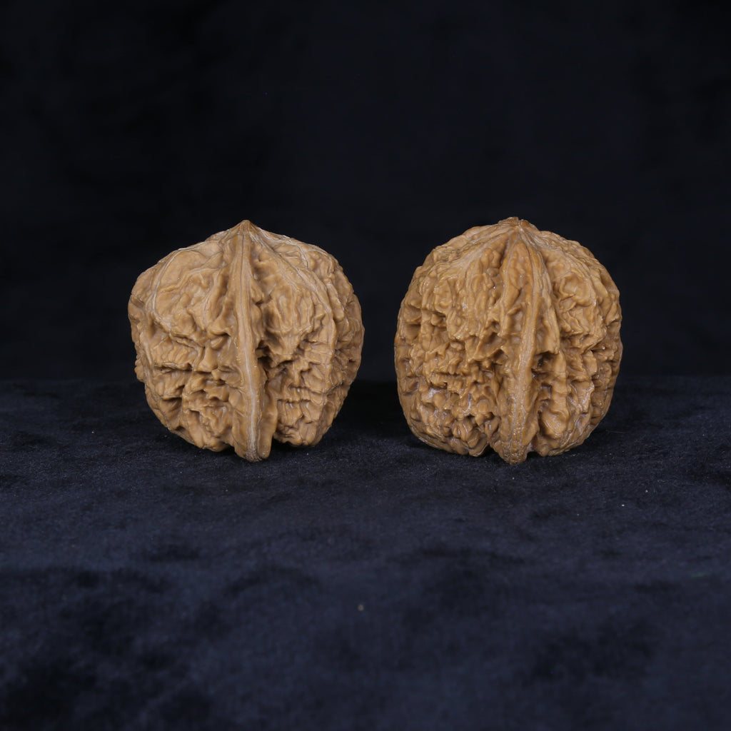 Rear view of The General's Crest Wenwan walnuts showing symmetrical forms and complex ridge patterns.

