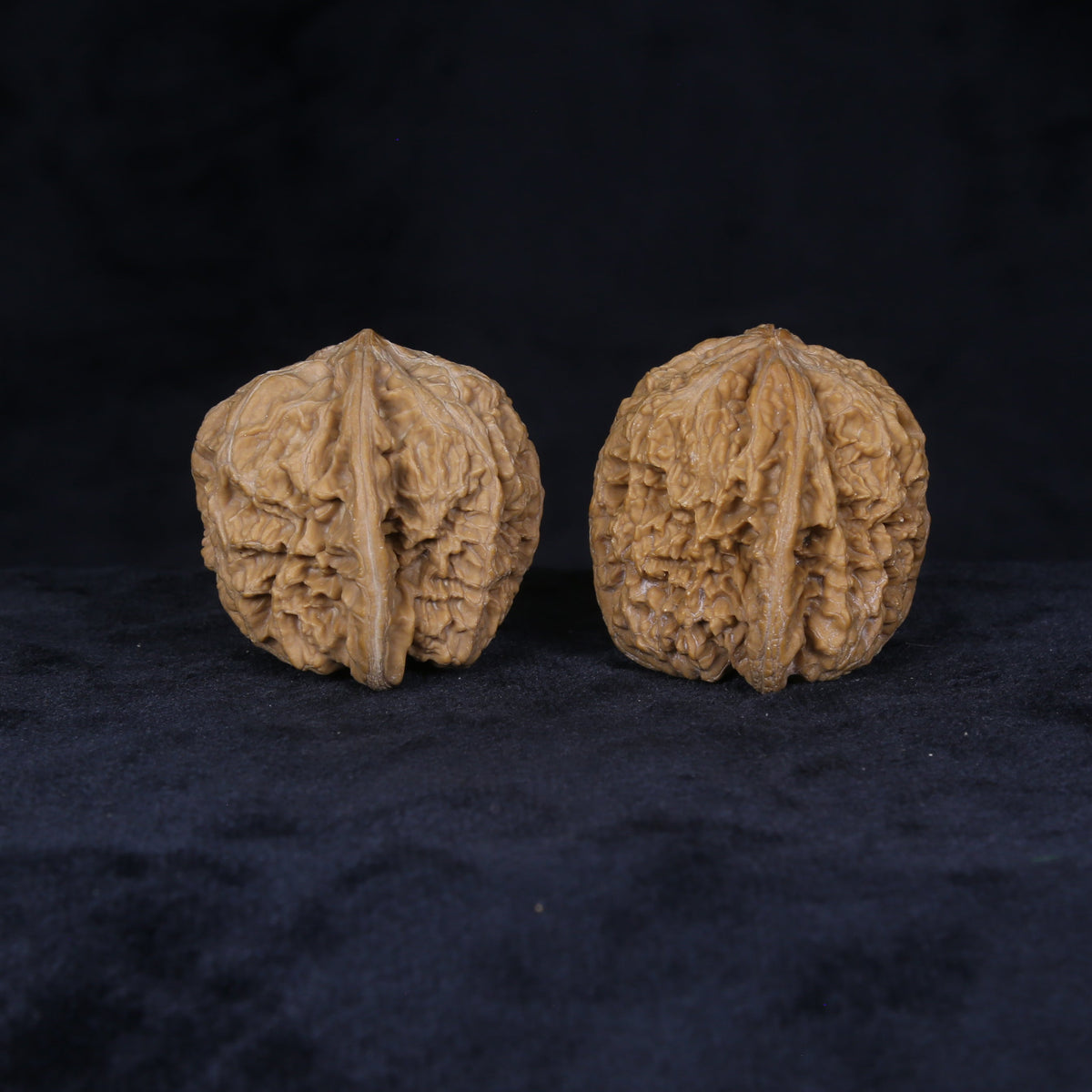 Rear view of The General's Crest Wenwan walnuts showing symmetrical forms and complex ridge patterns.
