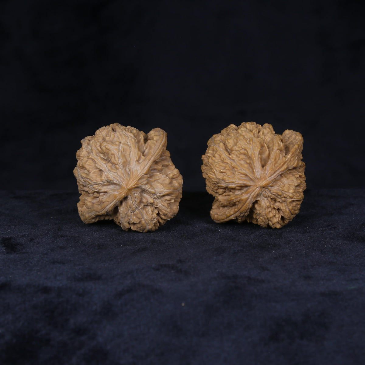 Bottom view of The General's Crest Wenwan walnuts displaying compact bases and natural textured details.
