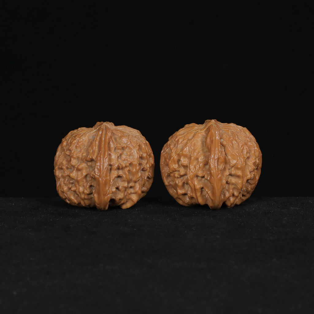 The Muted Zenith | Mo-Pan Walnut Set W7582