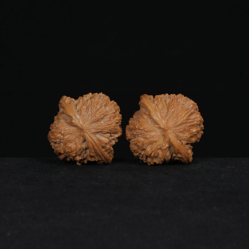 The Muted Zenith | Mo-Pan Walnut Set W7582