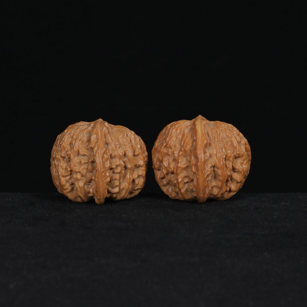 The Muted Zenith | Mo-Pan Walnut Set W7582