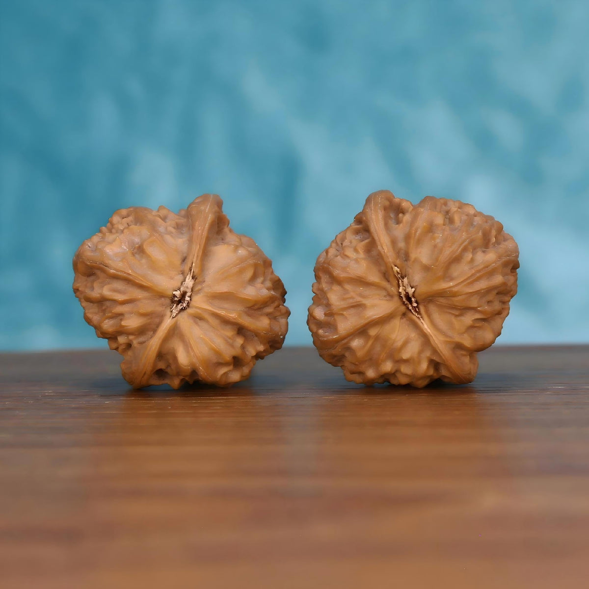 Wu-Ming nameless walnut duo – uncultivated botanical artifact for grounding and stress relief