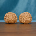 Pair of 6105 Sunlit Ridge wenwan walnuts with textured tan surfaces
