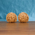 Pair of Coiling Dragon wenwan walnuts carved with dragon relief, displayed on a wood table against a blue background
