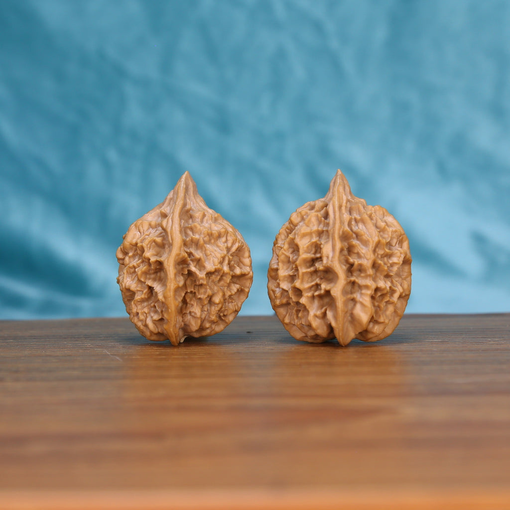 Single Di-Wang wenwan walnut bottom view on wooden surface – natural base and spire texture detail