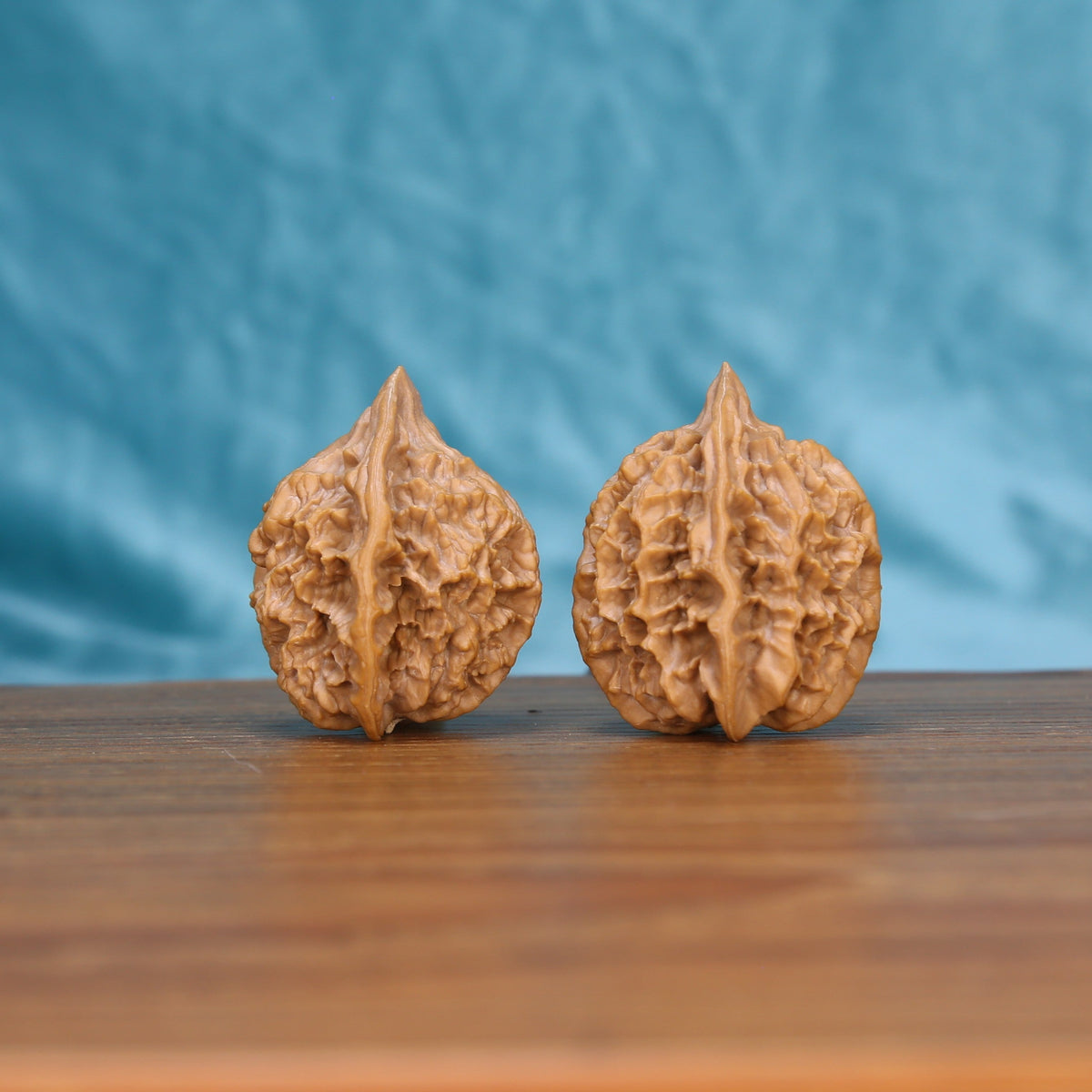 Single Di-Wang wenwan walnut bottom view on wooden surface – natural base and spire texture detail