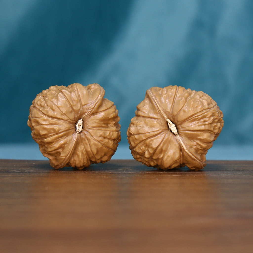 Base view of the 6105 wenwan walnut pair showing radiating ridges

