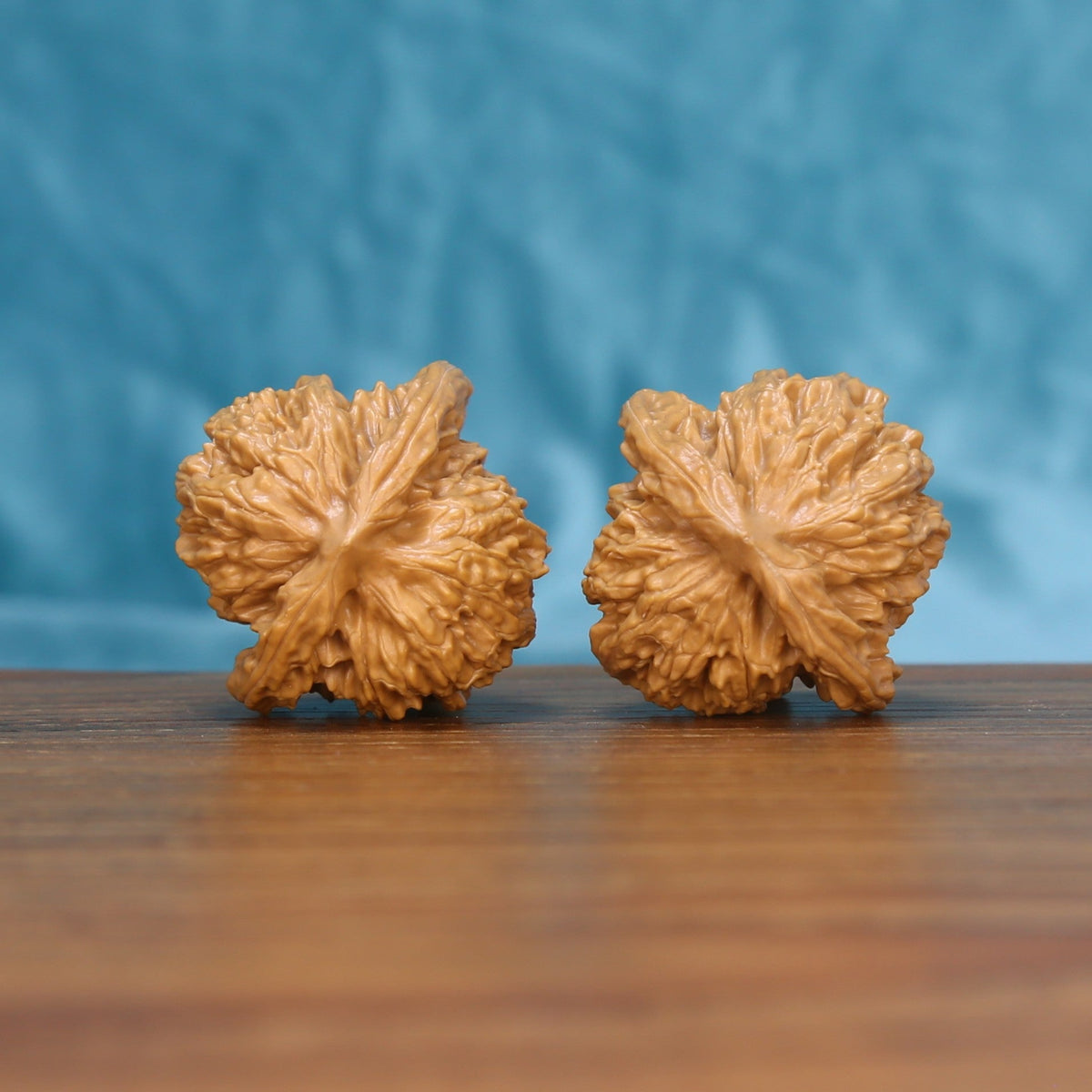 Side profile of the 6149 Coiling Dragon wenwan walnut pair showing height and carved edges
