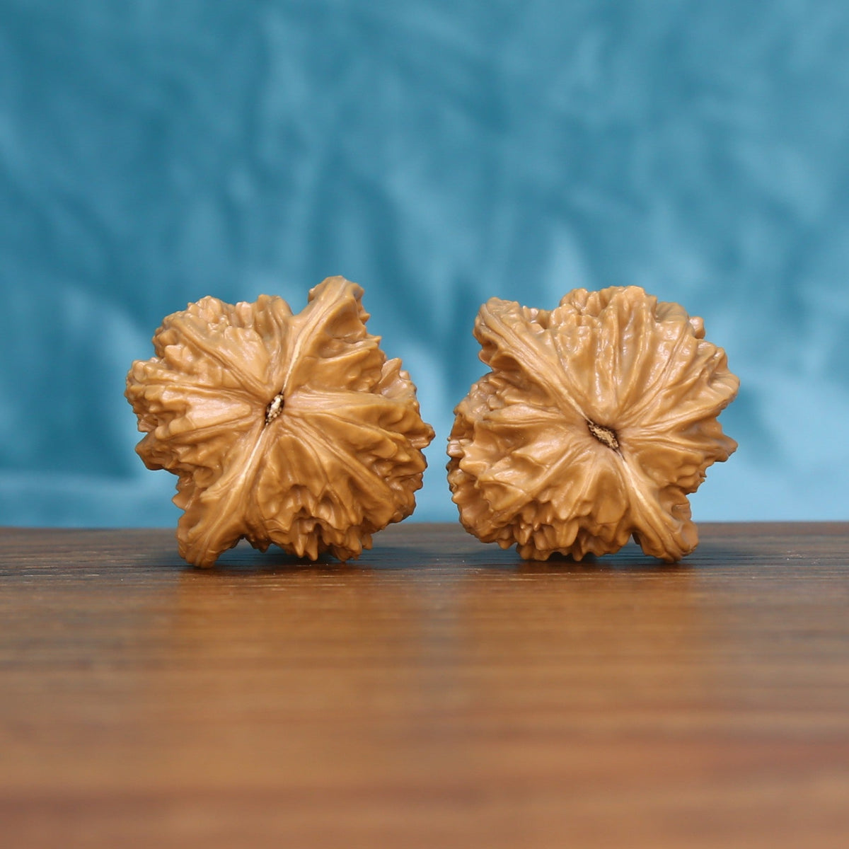 Top view of the Coiling Dragon wenwan walnut pair 6149, showing the star-shaped carved crown of each walnut
