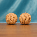 L25 Wenwan walnut matched pair displayed side by side on a wooden surface against a teal background.
