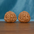 Pair of 5959 wenwan walnuts with raised branching ridges
