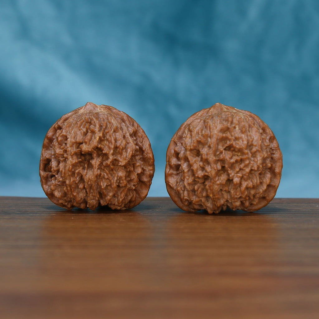 Angled front view of The Amber Sentinels Wenwan walnuts highlighting their rounded forms and warm amber-brown color.
