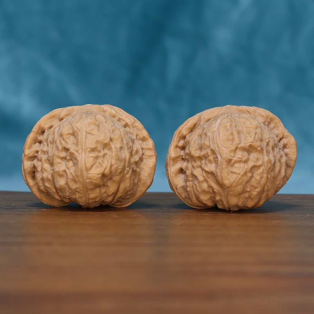 The Distinctive Contrast | L06 Wenwan Walnut Set