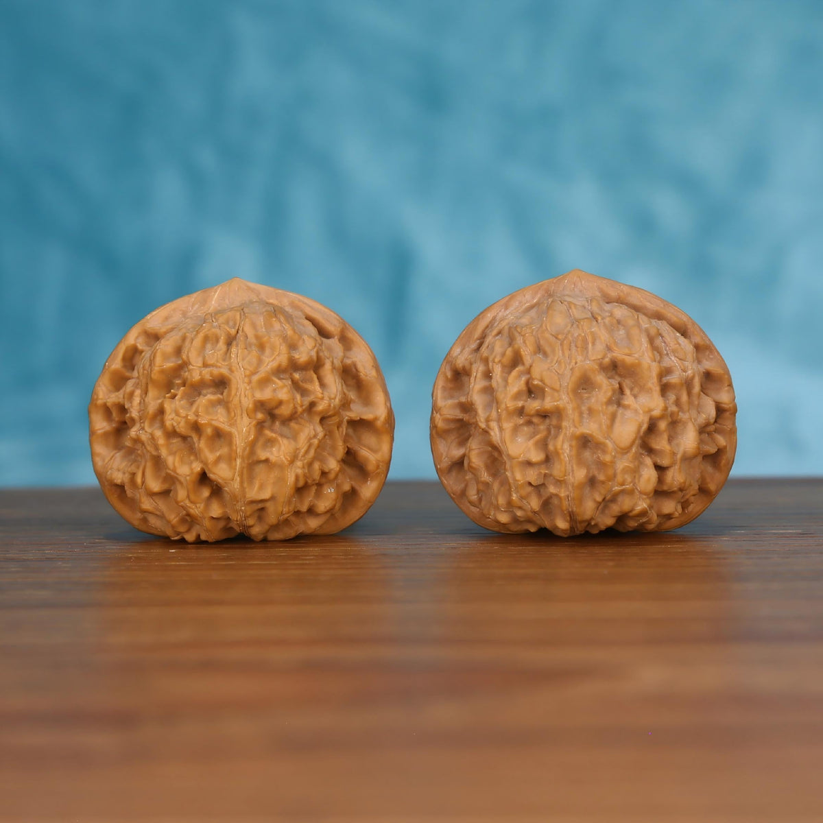 Pair of wenwan walnuts with deeply carved open wrinkled surface and broad rounded form, front view on wooden surface with blue background
