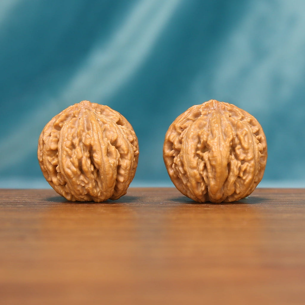 L25 Wenwan walnut matched pair shown from the front, highlighting their rounded forms and natural ridge texture.
