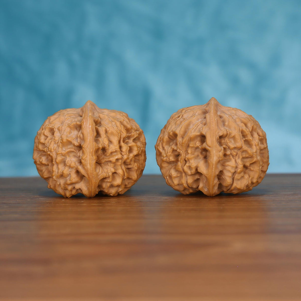 Pair of wenwan walnuts with sharp pointed tip and prominent vertical seam, coarsely pitted wrinkled surface and rounded form, side view on wooden surface with blue background
