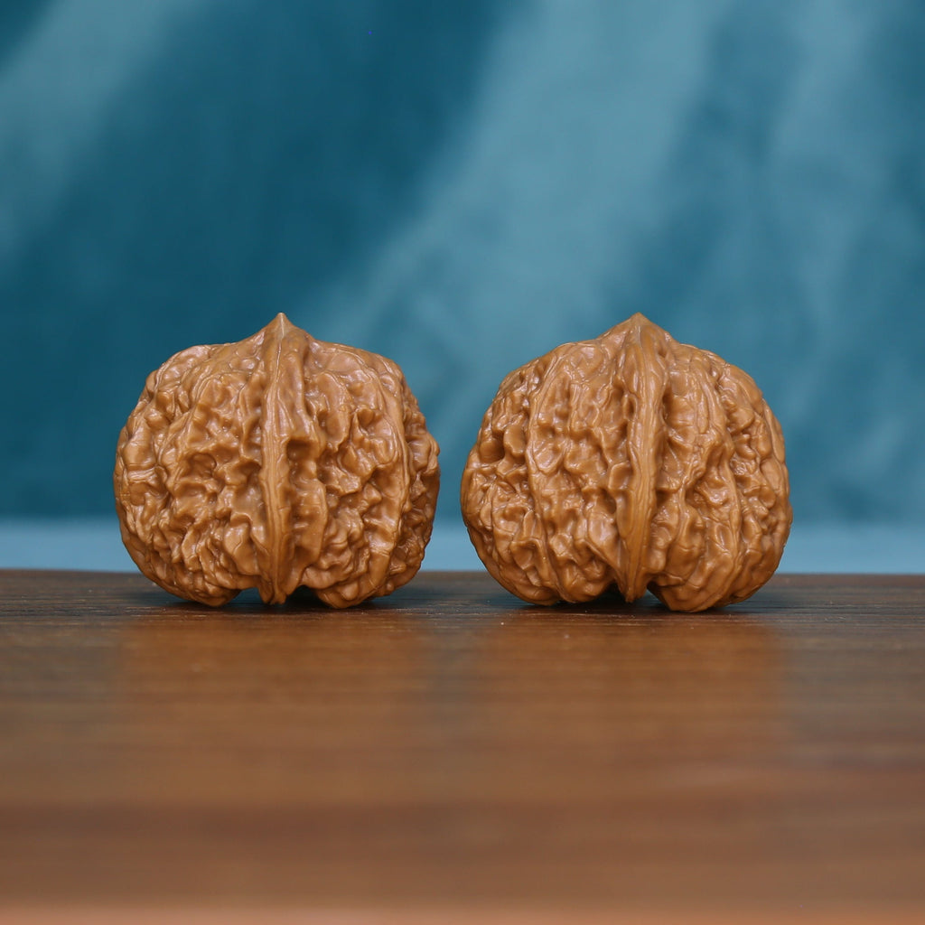 Two 5959 wenwan walnuts showing their central ridges

