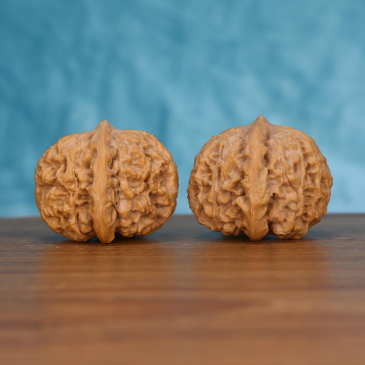 Pair of wenwan walnuts with sharp pointed tip and bold vertical seam, deeply folded wrinkled lobes and squat rounded form, side view on wooden surface with blue background
