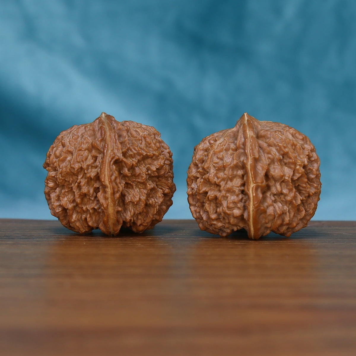 Rear view of The Amber Sentinels Wenwan Walnut Set displaying the walnuts’ rounded surfaces and intricate texture.
