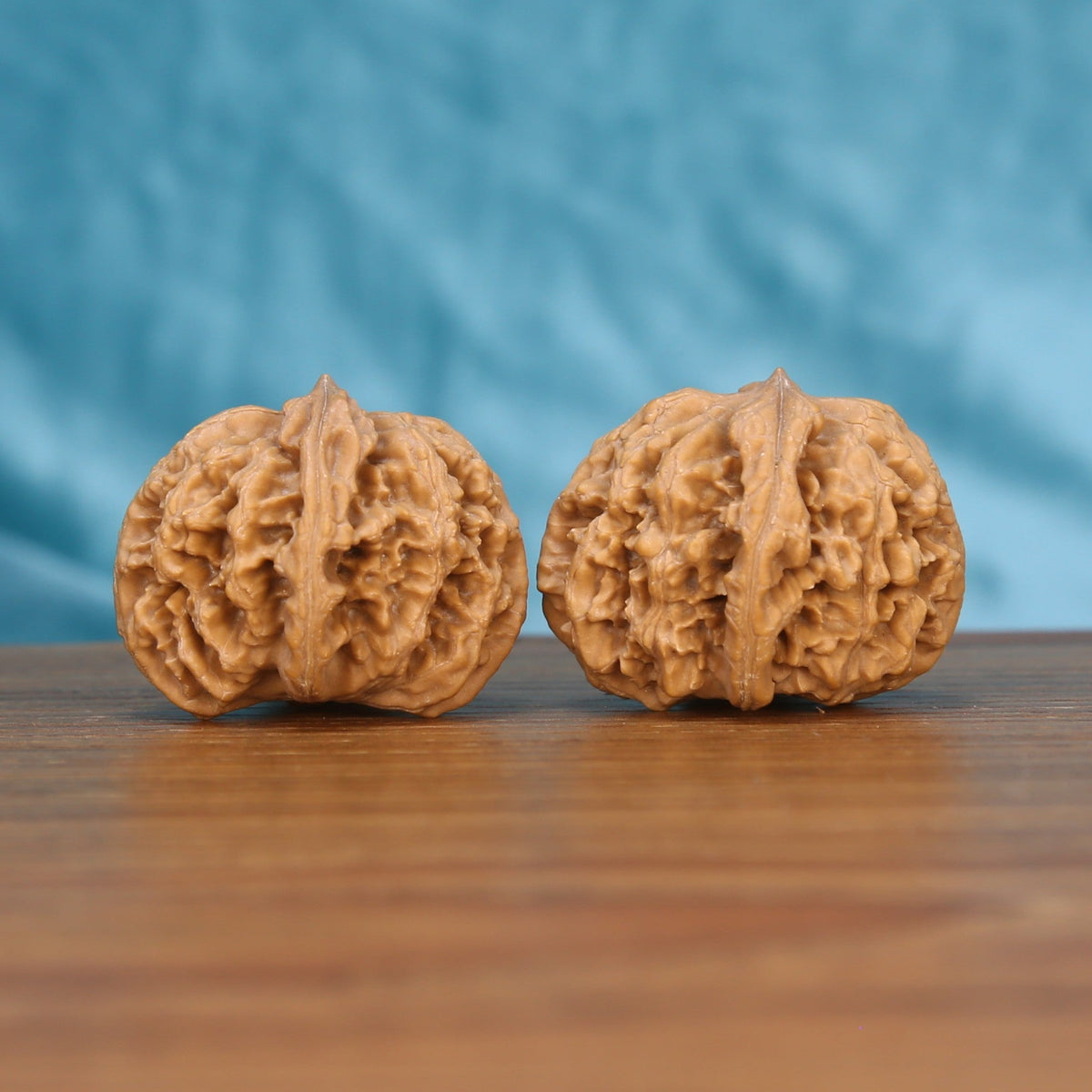 Single Xing-Tai-Yuan-Bao wenwan walnut on wooden surface, blue background – curved yuan-bao natural texture