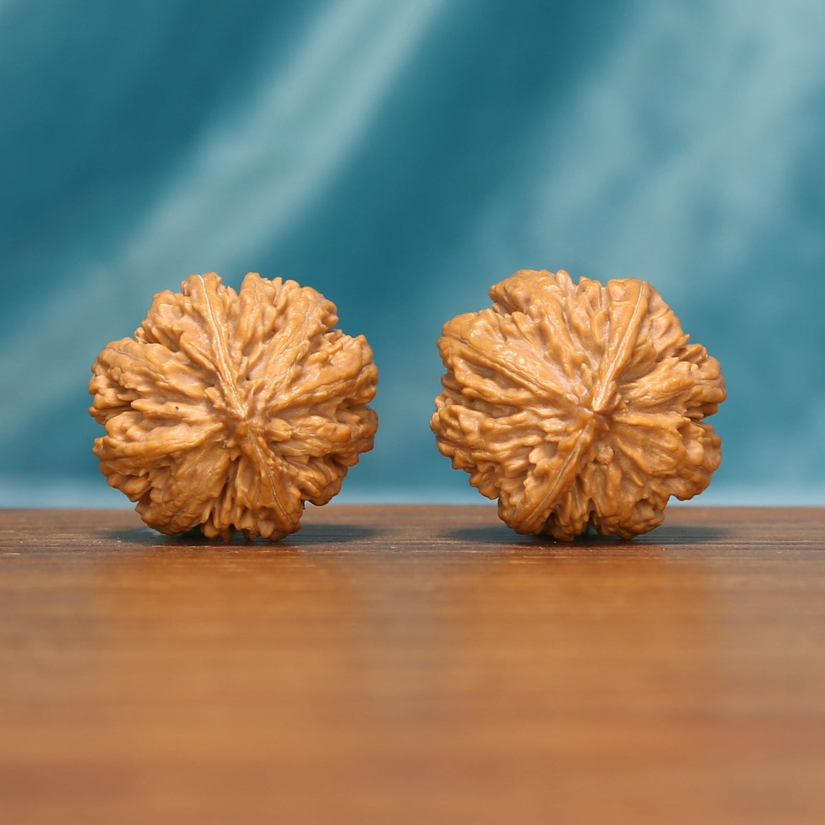 L25 Wenwan walnuts shown from the opposite side, highlighting the natural ridge patterns of both pieces.
