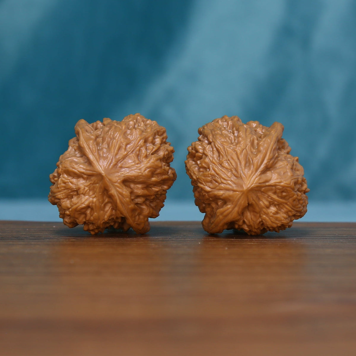Side view of two 5959 wenwan walnuts with raised winding ridges
