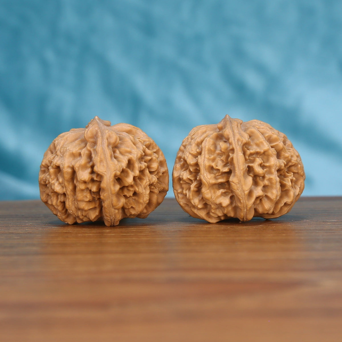 Xing-Tai-Yuan-Bao wenwan walnut pair alternate angle, blue background – symmetrical horizon-curve ridge pattern