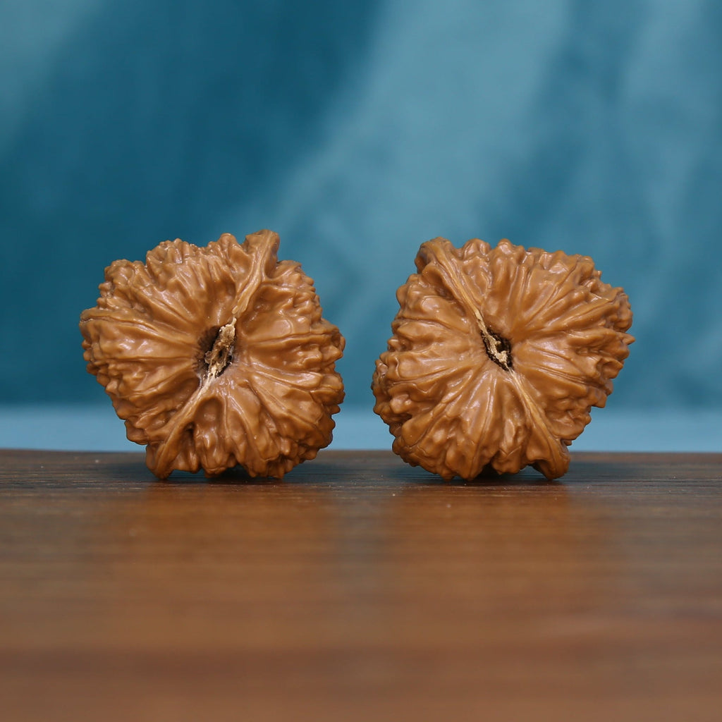 Base view of the 5959 wenwan walnut pair showing radiating grooves
