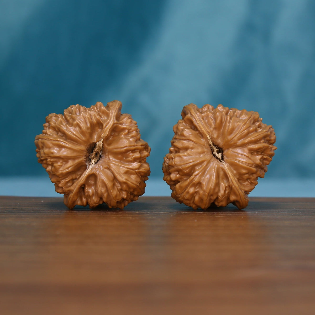 Base view of the 5959 wenwan walnut pair showing radiating grooves

