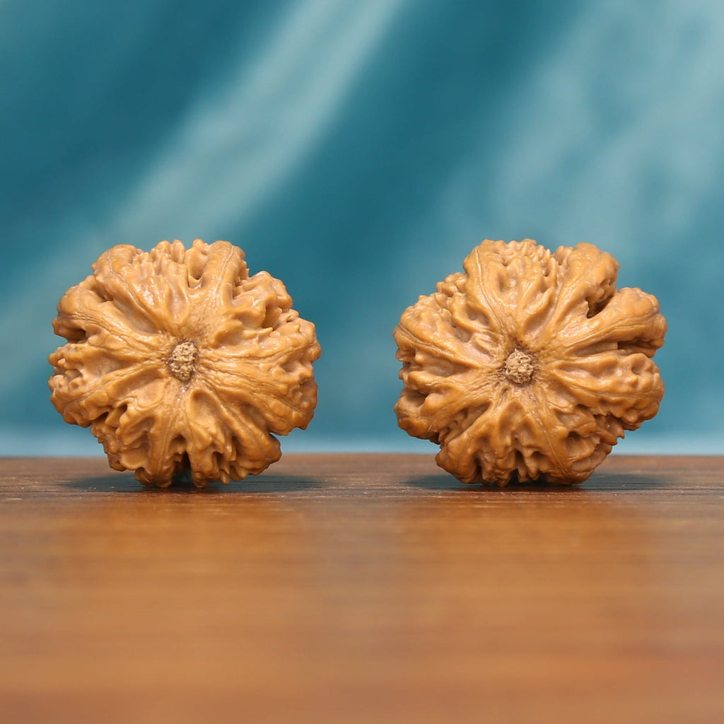 L25 Wenwan walnut pair shown from below, highlighting the flower-like base patterns and radiating ridges.
