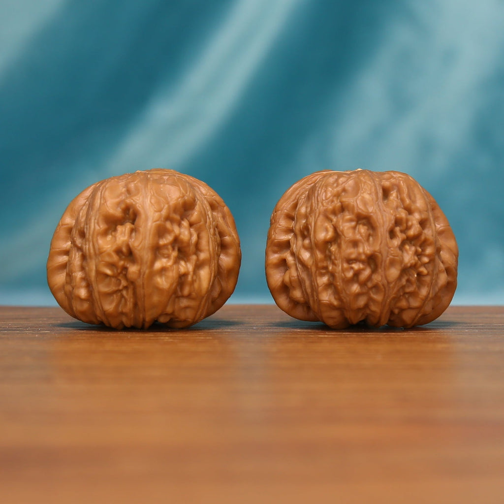 L24 Wenwan walnut matched pair displayed side by side on a wooden surface against a teal background.
