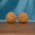 Pair of 5626 wenwan walnuts standing upright with textured tan shells
